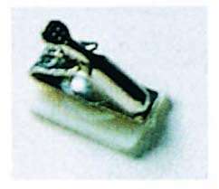 Badge Pins Non-Adhesive Aligator Clips 24399