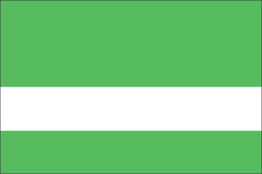 Laserables Attention Grabber Series Fluro Radical Green/White Ⓜ G-403